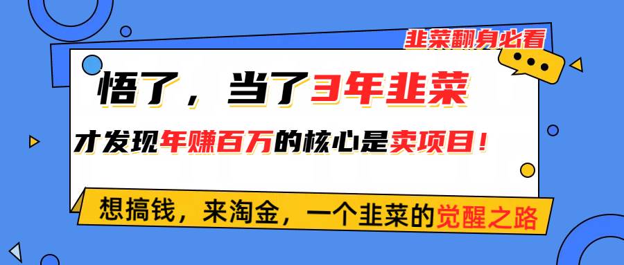 悟了，当了3年韭菜，才发现网赚圈年赚100万的核心是卖项目，含泪分享！-网创社区