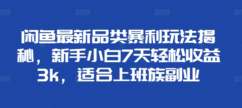 闲鱼最新品类暴利玩法揭秘，新手小白7天轻松赚3000+，适合上班族副业-网创社区
