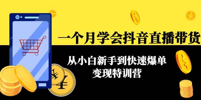 一个月学会抖音直播带货：从小白新手到快速爆单变现特训营(63节课)-网创社区
