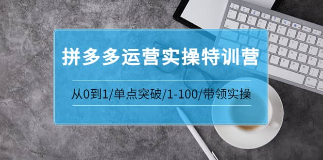 拼多多运营实操特训营：从0到1/单点突破/1-100/带领实操 价值2980元-网创社区