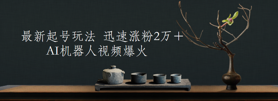 最新起号玩法，AI机器人视频爆火，迅速涨粉2万＋-网创社区