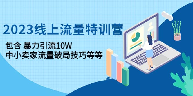 2023线上流量特训营：中小卖家流量破局技巧等等-网创社区