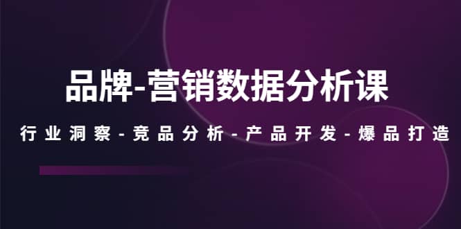 品牌-营销数据分析课，行业洞察-竞品分析-产品开发-爆品打造-网创社区