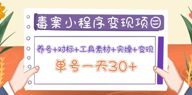 毒案小程序变现项目：养号+对标+工具素材+实操+变现-网创社区