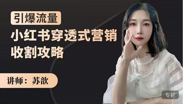 小红书穿透式营销收割攻略，引爆流量，助你玩转小红书-网创社区