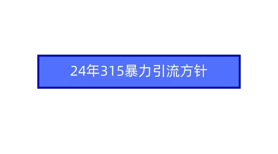 2024年315暴力引流方针-网创社区