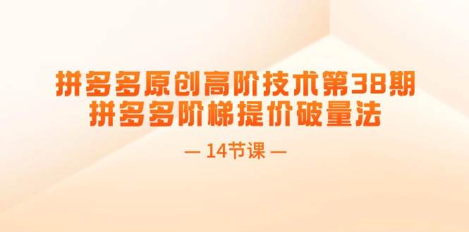 拼多多原创高阶技术第38期，拼多多阶梯提价破量法（14节课）-网创社区