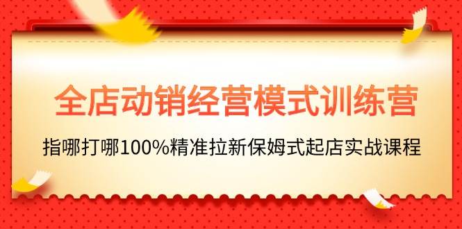 全店动销-经营模式训练营，指哪打哪100%精准拉新保姆式起店实战课程-网创社区