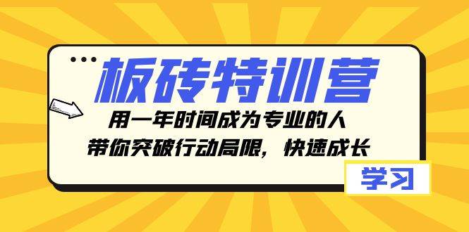 板砖特训营，用一年时间成为专业的人，带你突破行动局限，快速成长-网创社区