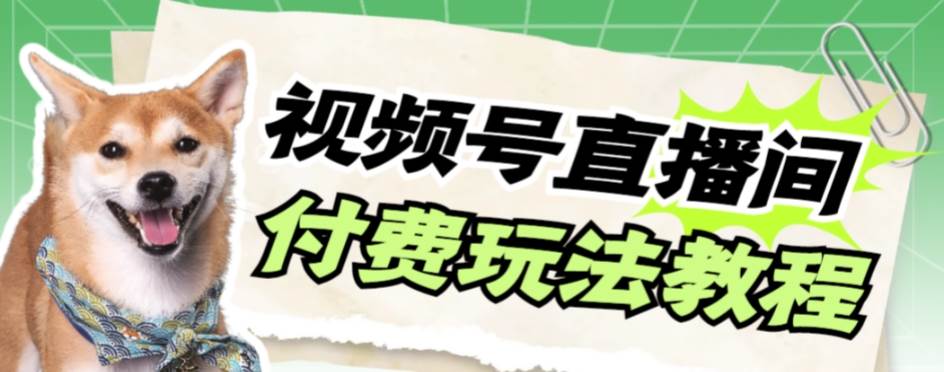 视频号美女付费无人直播，轻松日入500+【详细玩-网创社区