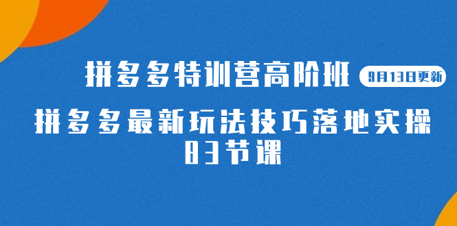 2023拼多多·特训营高阶班【9月13日更新】拼多多最新玩法技巧落地实操-83节-网创社区