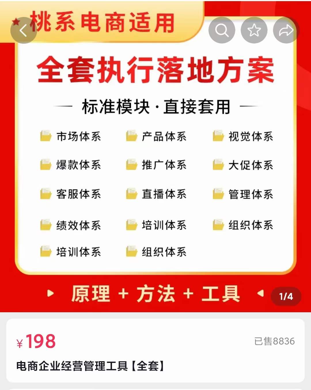 外面卖198·电商企业经营管理工具：全套执行落地方案 标准模块·直接套用-网创社区