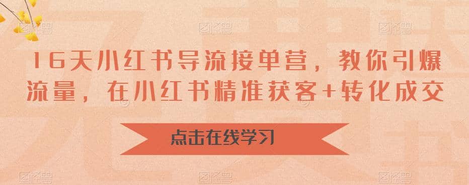 16天-小红书 导流接单营，教你引爆流量，在小红书精准获客+转化成交-网创社区