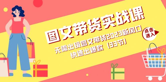 图文带货实战课：无需出镜图文带货2023新风口，快速出爆款（33节）-网创社区