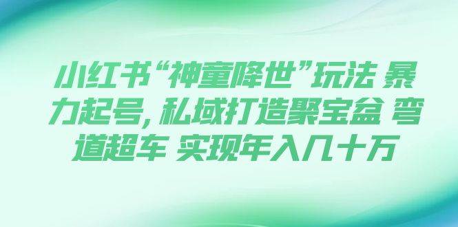 小红书“神童降世”玩法 暴力起号,私域打造聚宝盆 弯道超车 实现年入几十万-网创社区