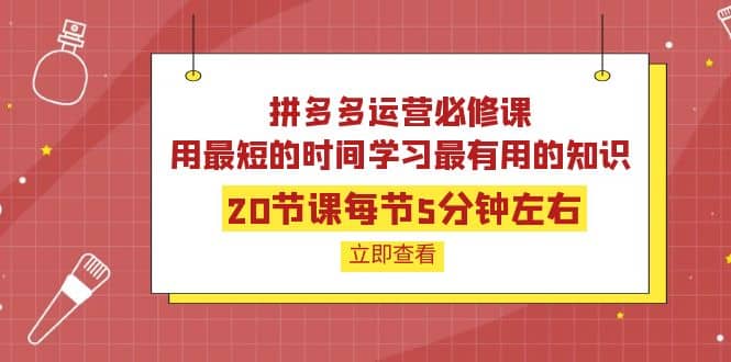拼多多运营必修课：20节课每节5分钟左右，用最短的时间学习最有用的知识-网创社区