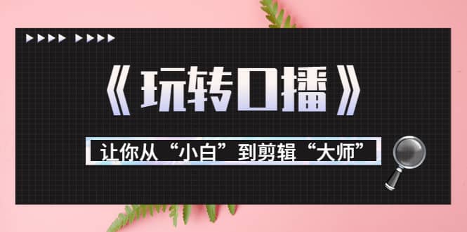 月营业额700万+大佬教您《玩转口播》让你从“小白”到剪辑“大师”-网创社区