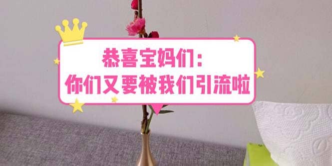 恭喜宝妈们：你们又要被我们引流了（教程+222g资料）-网创社区