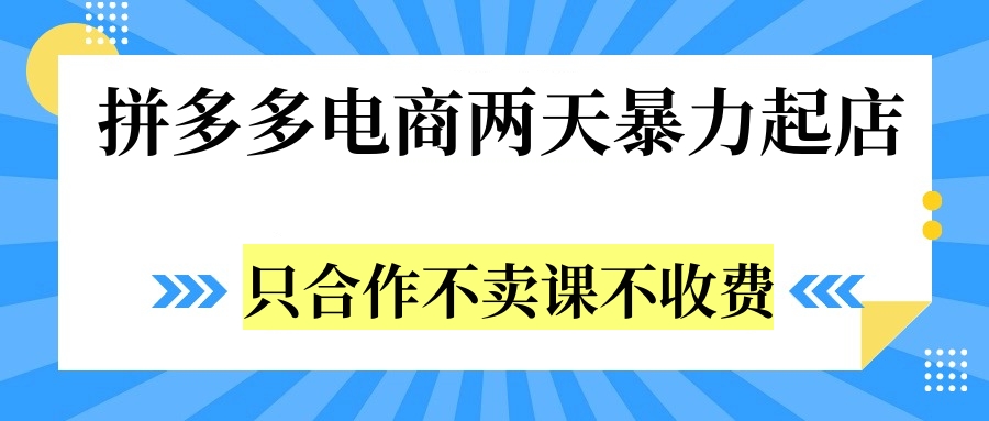拼多多两天暴力起店，只合作不卖课不收费-网创社区
