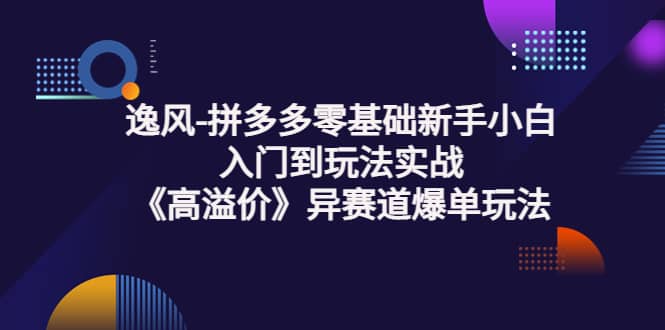 拼多多零基础新手小白入门到玩法实战《高溢价》异赛道爆单玩法实操课-网创社区