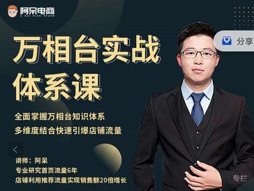 阿呆-万相台实战体系课，帮您全面掌握万相台知识体系-网创社区