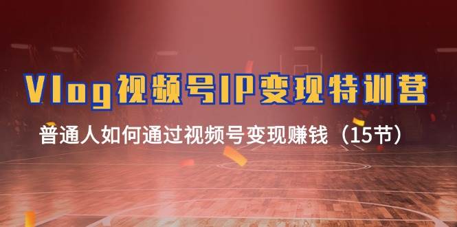 Vlog 视频号IP变现特训营，普通人如何通过视频号变现赚钱（15节）-网创社区