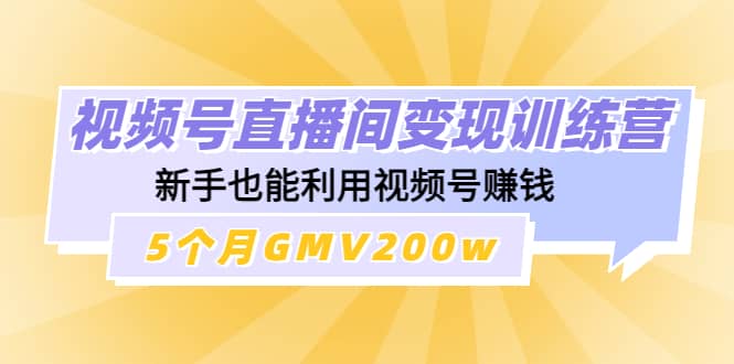 视频号直播间变现训练营-网创社区