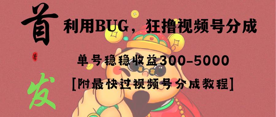 全网独家首发，视频号BUG，超短期项目，单号每日净收益300-5000！-网创社区