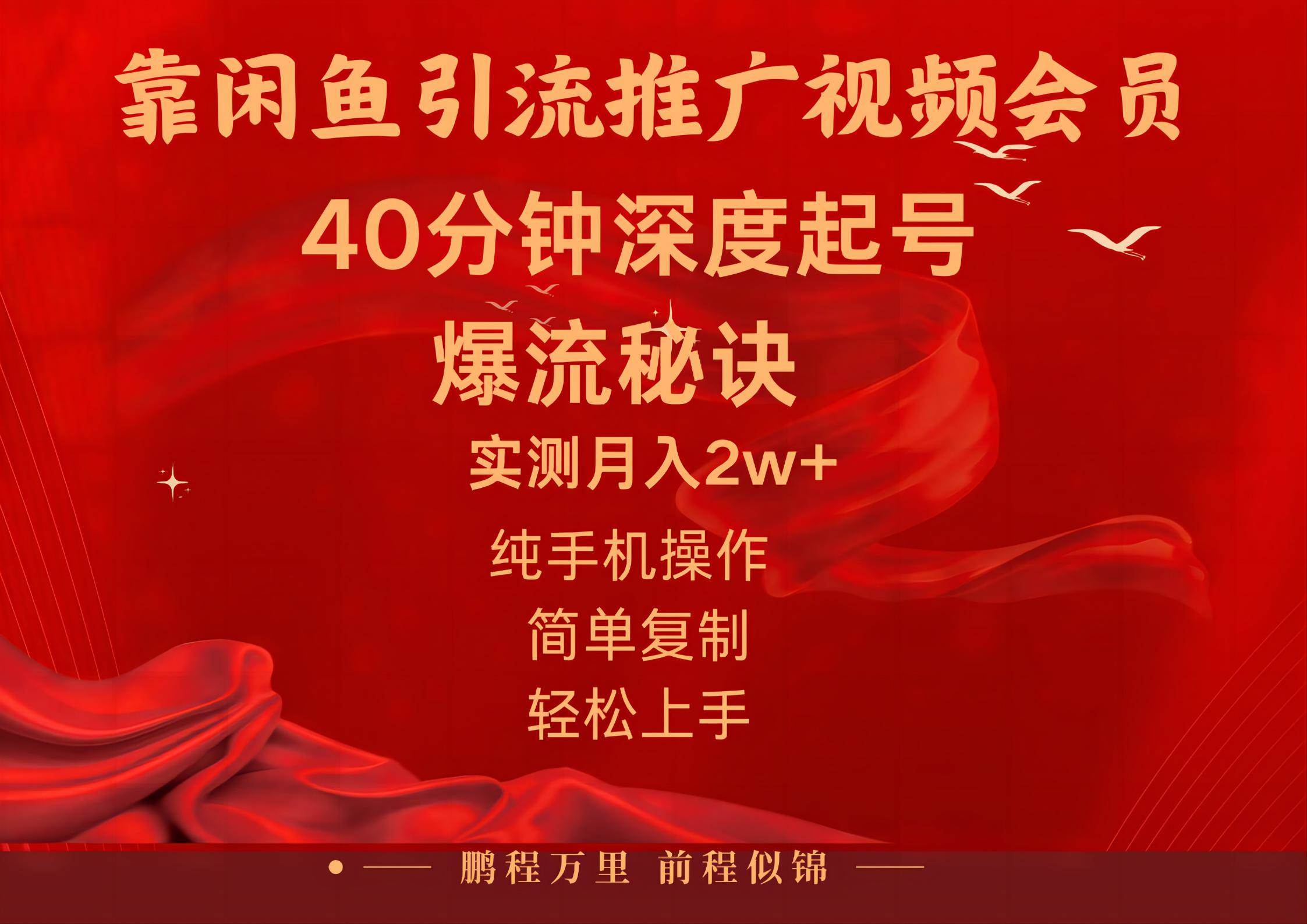 闲鱼暴力引流推广视频会员，能做到日入2W+，操作简单-网创社区