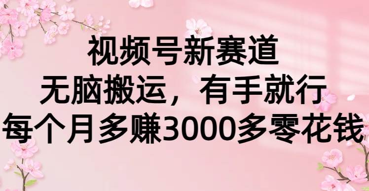 视频号新赛道，无脑搬运，有手就行，每个月多赚3000多零花钱-网创社区