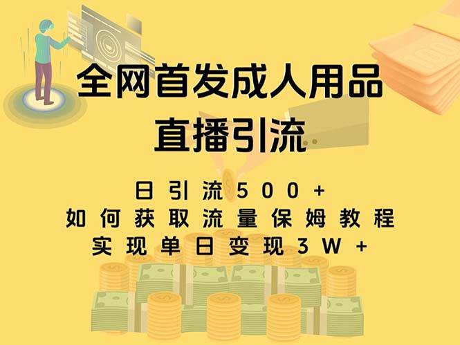 最新全网独创首发，成人用品直播引流获客暴力玩法，单日变现3w保姆级教程-网创社区