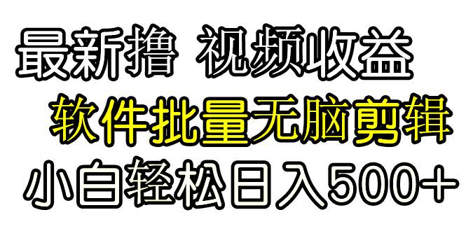 发视频撸收益，软件无脑批量剪辑，第一天发第二天就有钱-网创社区