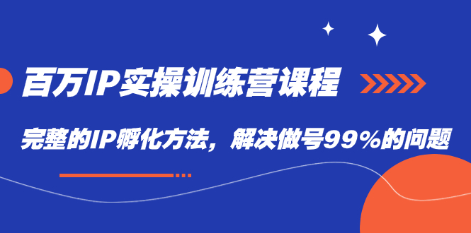 百万IP实战训练营课程，完整的IP孵化方法，解决做号99%的问题-网创社区