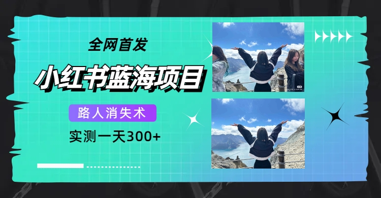 全网首发，小红书蓝海项目，路人消失术，实测一天300+（教程+工具）-网创社区