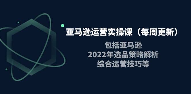 亚马逊运营实操课（每周更新）包括亚马逊2022选品策略解析，综合运营技巧等-网创社区