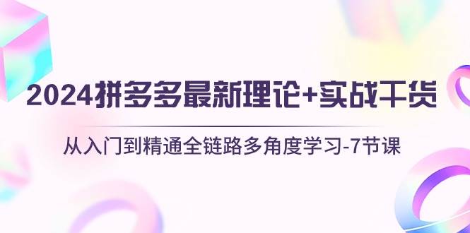 2024拼多多 最新理论+实战干货，从入门到精通全链路多角度学习-7节课-网创社区