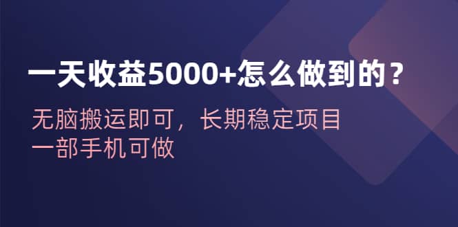 一天收益5000+怎么做到的？无脑搬运即可，长期稳定项目，一部手机可做-网创社区