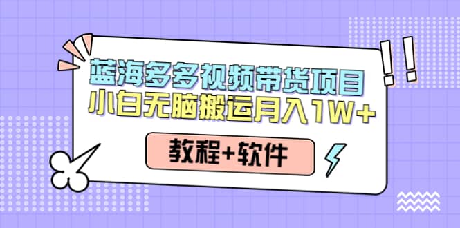 人人都能操作的蓝海多多视频带货项目 小白无脑搬运（教程+软件）-网创社区