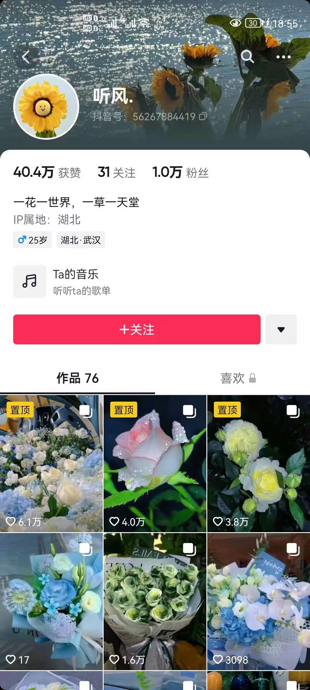 图片[2]-抖音壁纸变现项目：实战日入380+发布壁纸素材获取收益！-网创社区