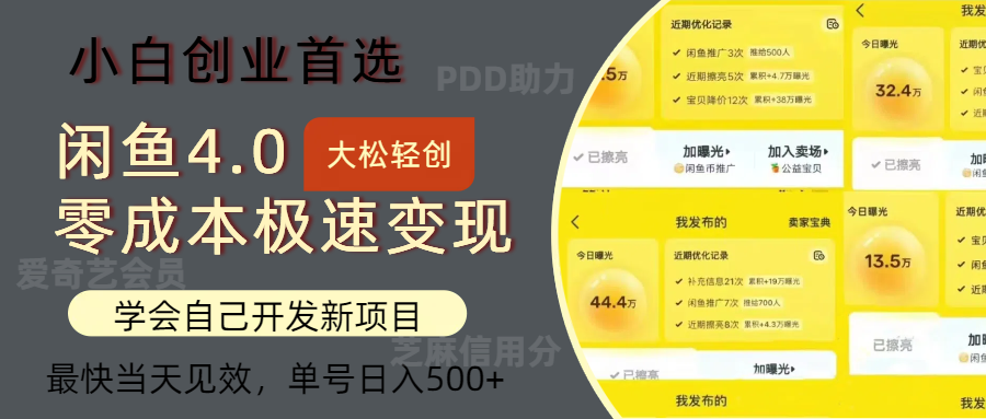 闲鱼0成本极速变现项目，多种变现方式，单号日入500+最新玩法-网创社区