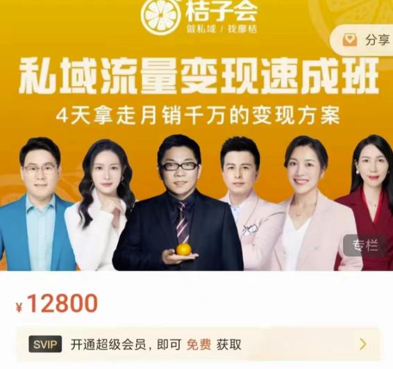 桔子会·私域流量变现速成班，4天拿走月销千万的变现方案 价值12800元-网创社区