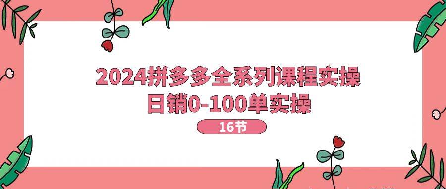 2024拼多多全系列课程实操，日销0-100单实操【16节课】-网创社区