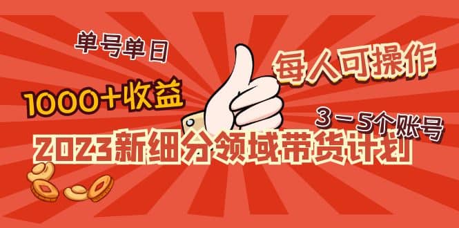 2023新细分领域带货计划：单号单日1000+收益不难，每人可操作3-5个账号-网创社区