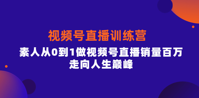 视频号直播训练营，素人从0到1做视频号直播销量百万，走向人生巅峰-网创社区