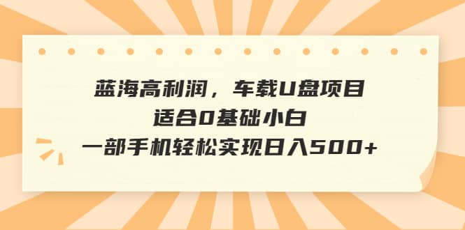蓝海高利润，车载U盘项目，适合0基础小白，一部手机轻松实现日入500+-网创社区