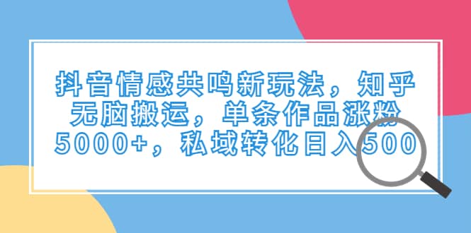 抖音情感共鸣新玩法，知乎无脑搬运，单条作品涨粉5000+，私域转化日入500-网创社区
