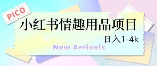 最新小红书情趣用品项目，日入1-4k-网创社区