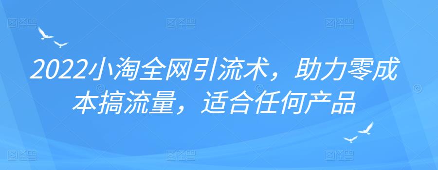2022年小淘全网引流术，助力零成本搞流量，适合任何产品-网创社区