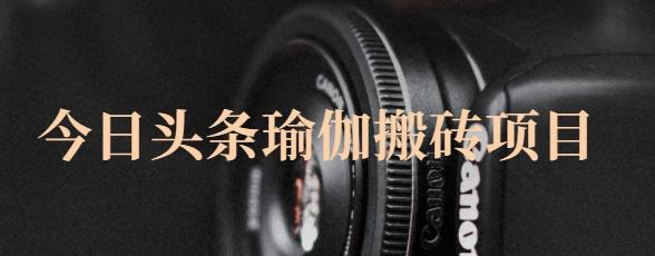 猎人社区·今日头条瑜伽搬砖项目，单号一天几十收入，可以批量操作！-网创社区