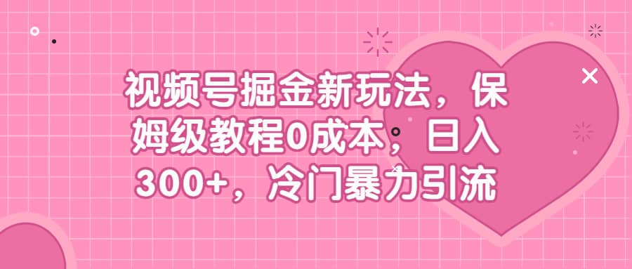 视频号掘金新玩法，保姆级教程0成本，日入300+，冷门暴力引流-网创社区